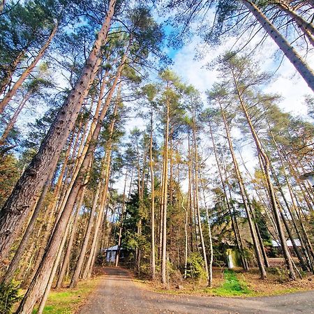 Bungalow Direkt Am See, Mit Eigenem Boot Roding Extérieur photo