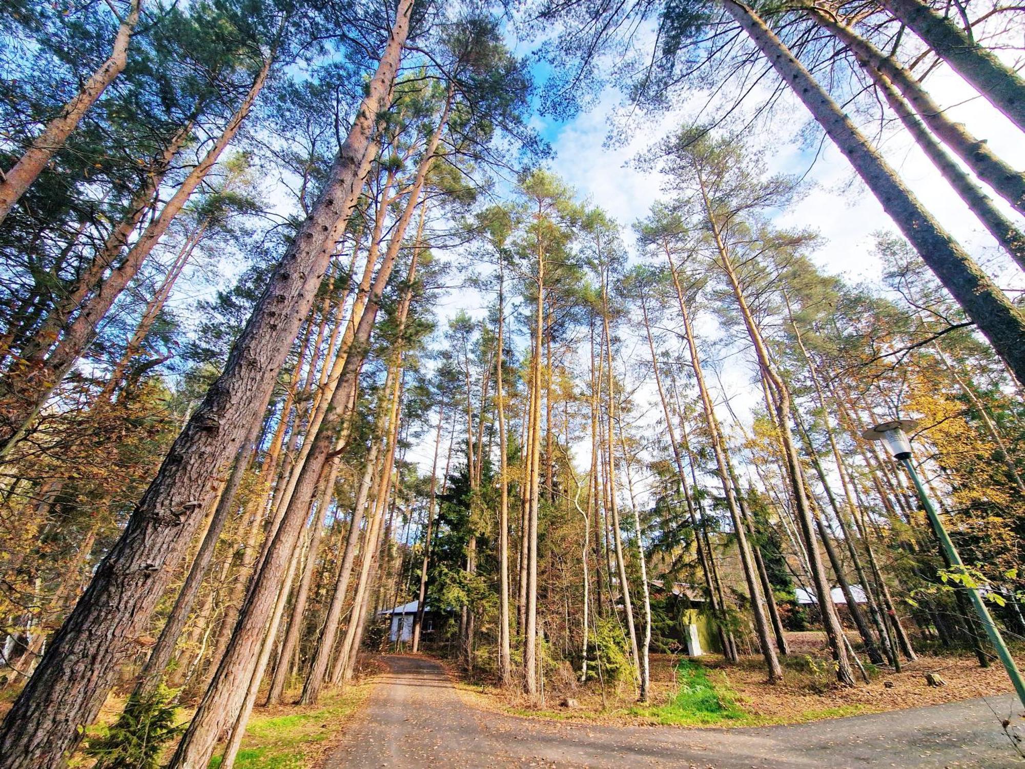 Bungalow Direkt Am See, Mit Eigenem Boot Roding Extérieur photo